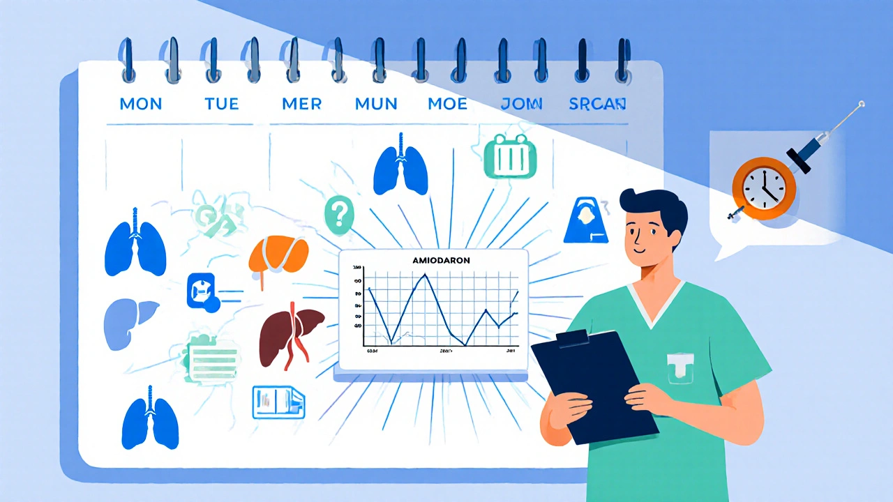 Calendar with icons showing monthly monitoring of ECG, thyroid, liver, lungs.
